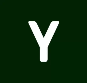 Y 1